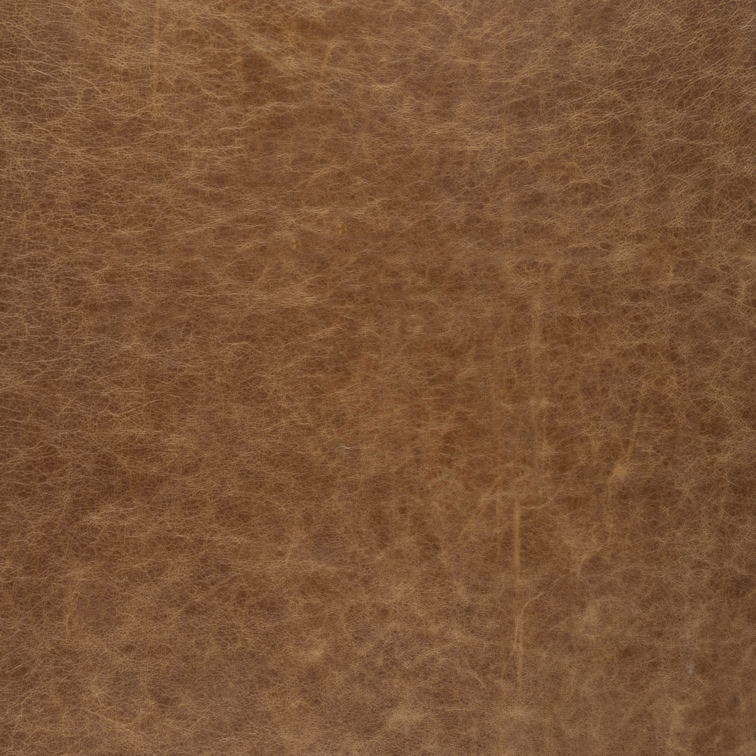 L2289-78