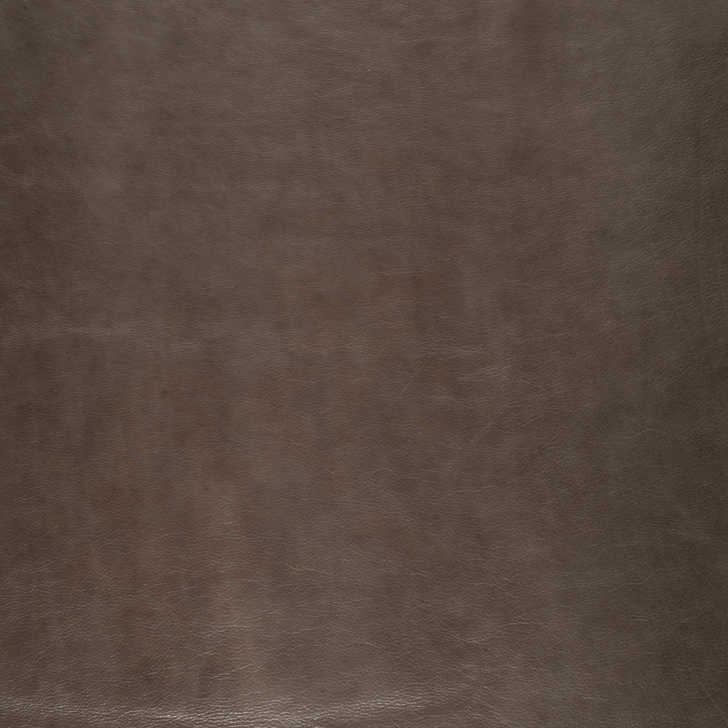 L2501-87
