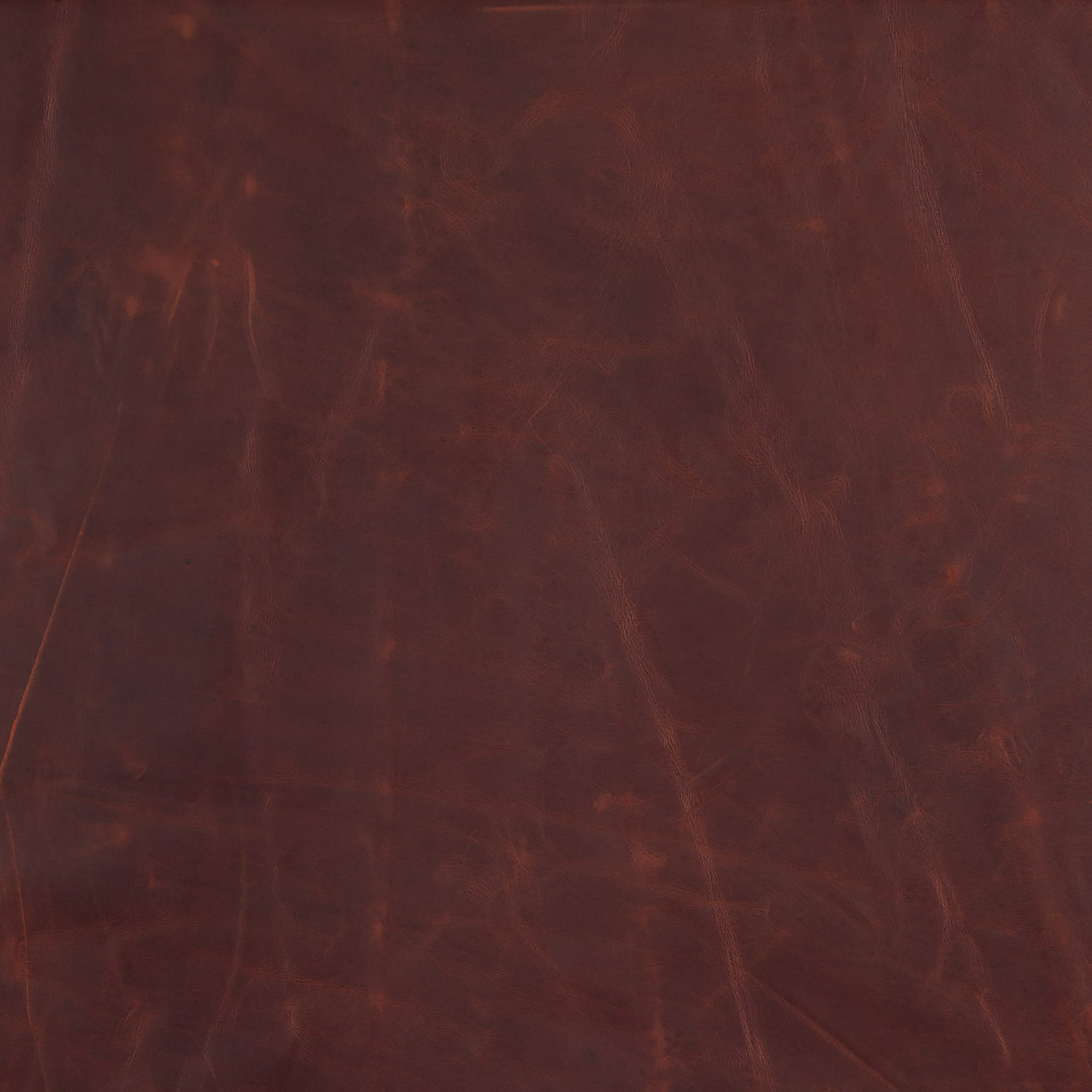 L2663-25