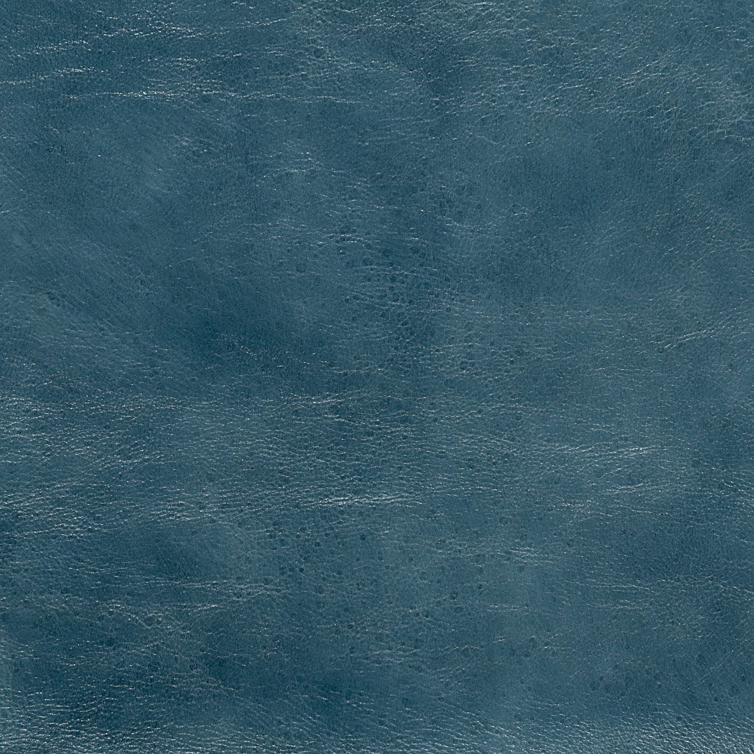 L6500-TEAL