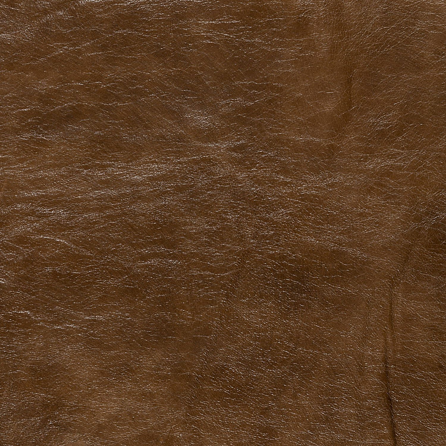L6500-WALN