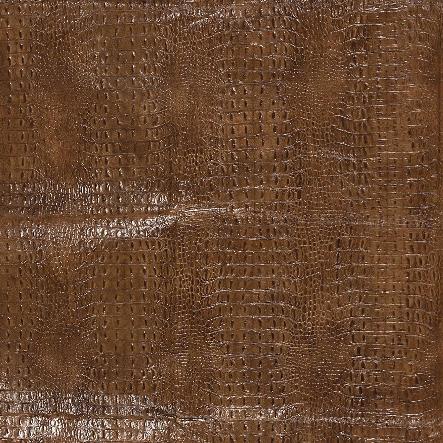 L6501-CHES