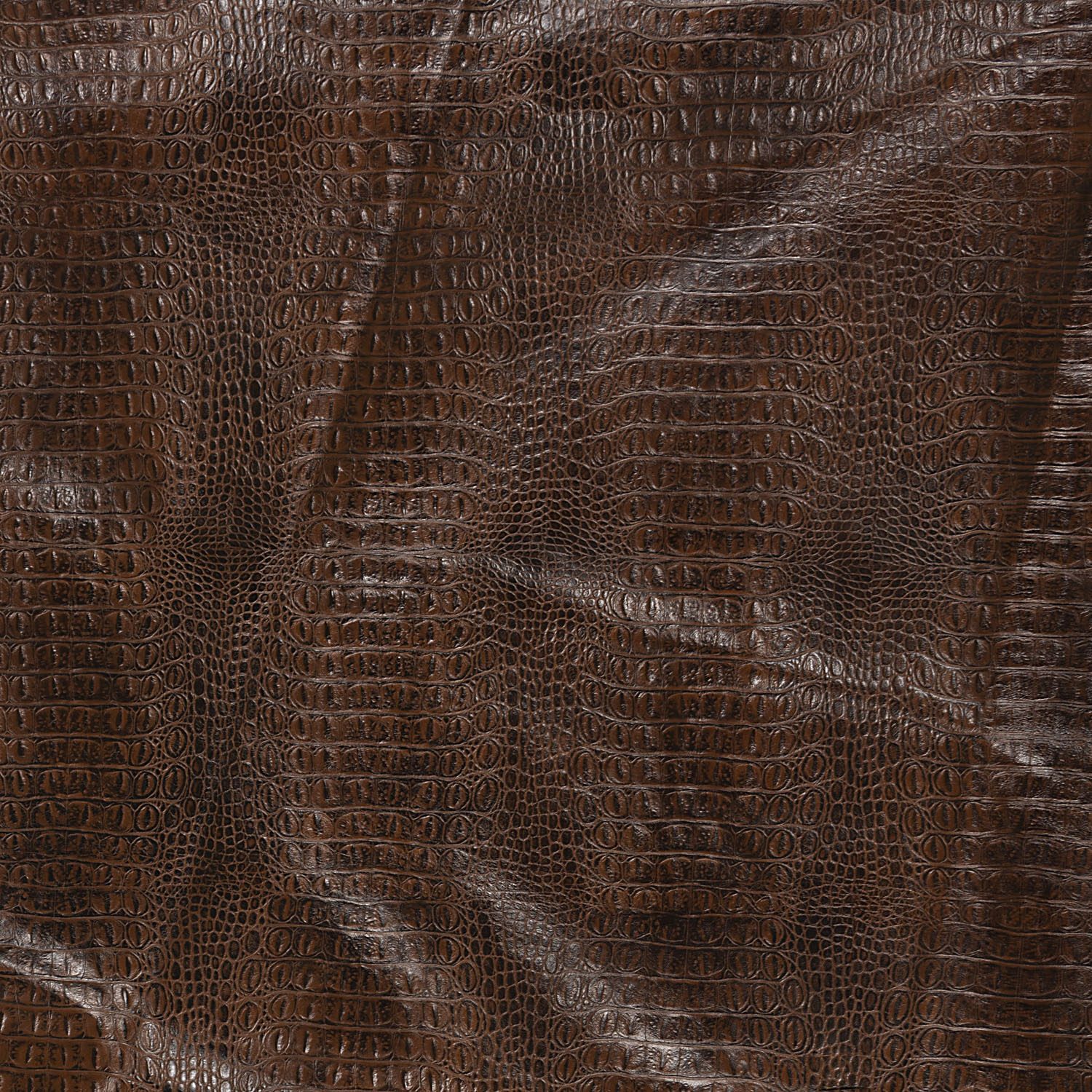 L6501-CHOC