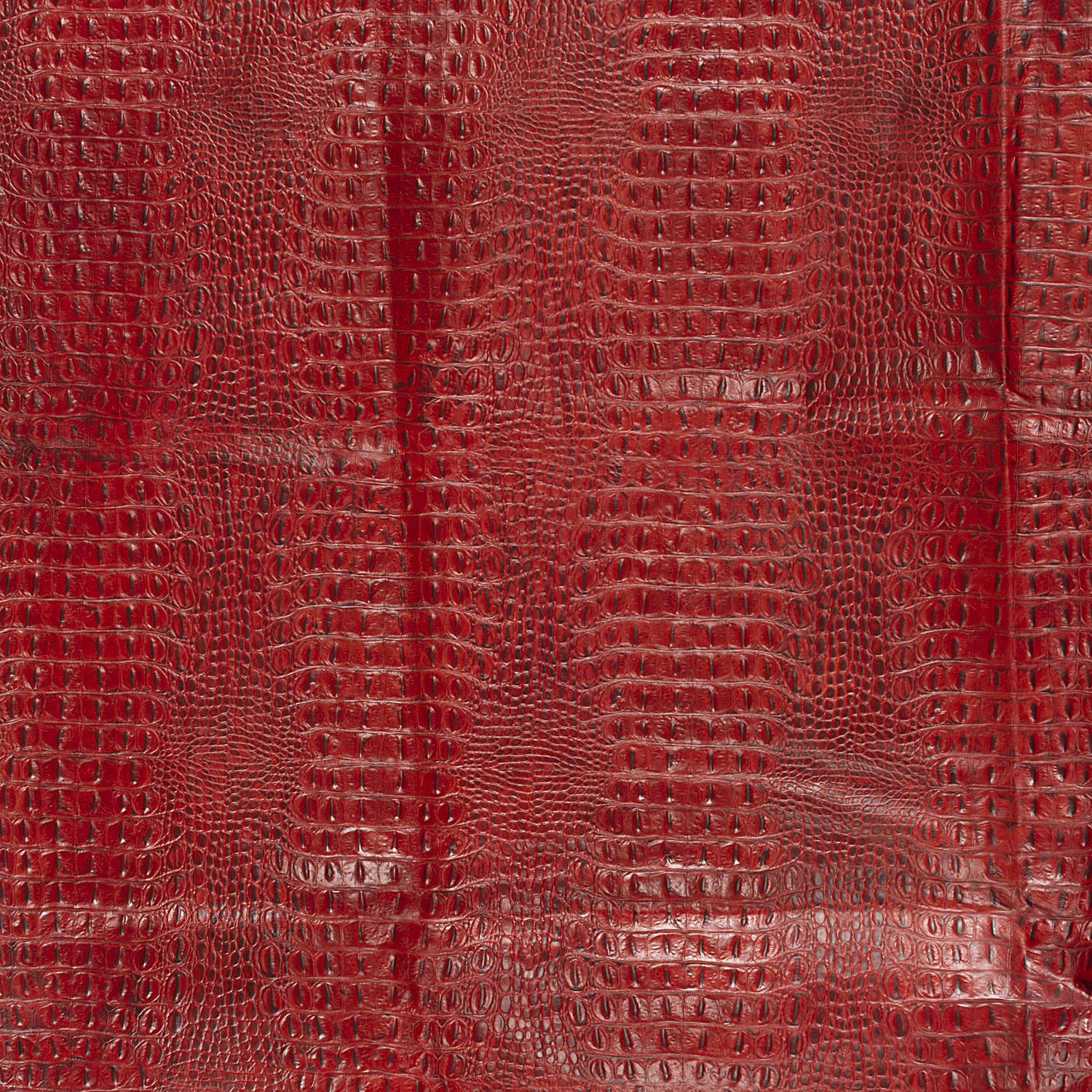 L6501-RED