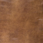 L1509-76