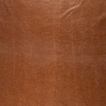 L2501-76
